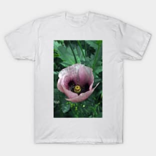 Pink Poppy T-Shirt